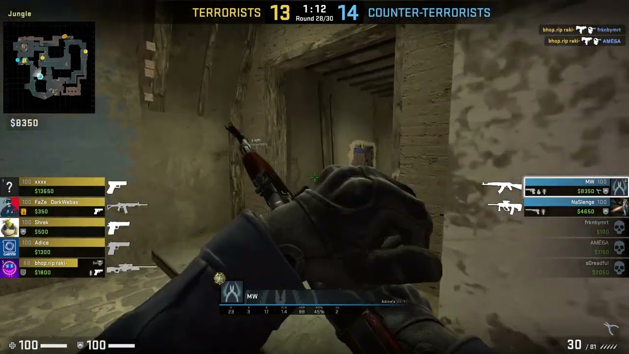 More high level domination on competitive Counter Strike