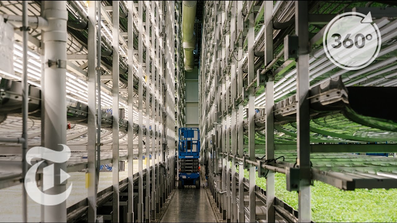 A Vertical Farm Grows In Newark | The Daily 360 | The New York Times