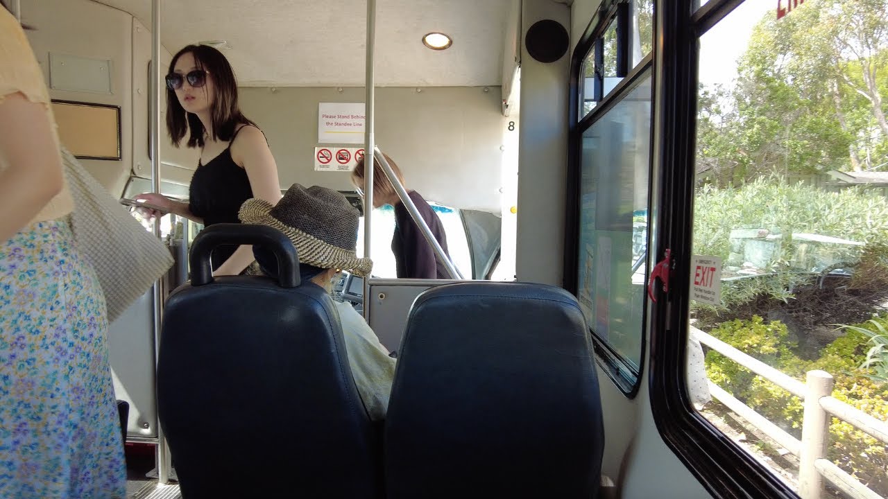 Santa Catalina  Island $2 Bus Tour (Avalon, California)