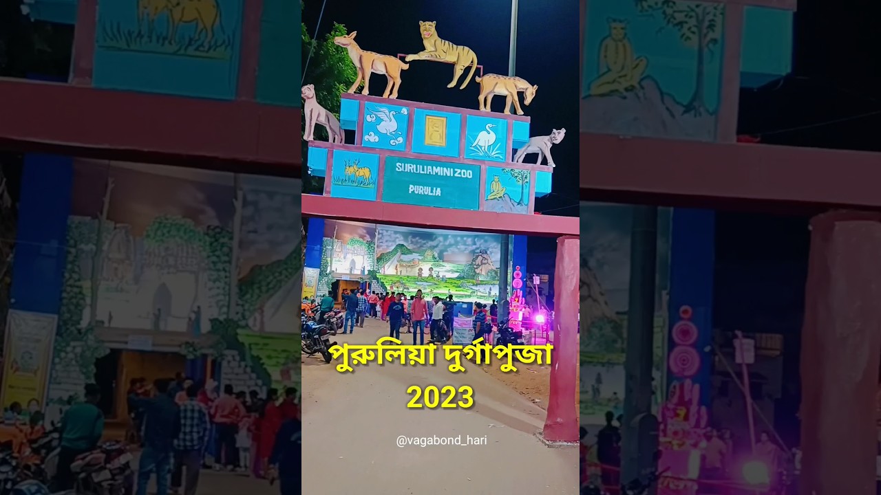 Top Durga Puja Pandal in Purulia 2023 #durgapuja #purulia #shorts #purulia_status #status #trending