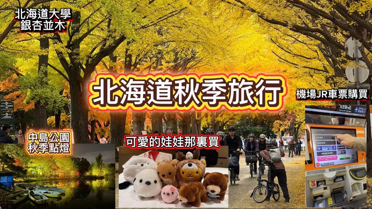 2025北海道秋季賞楓旅行｜札幌必去賞楓景點！舊本廳舍、北大銀杏並木、中島公園夜景