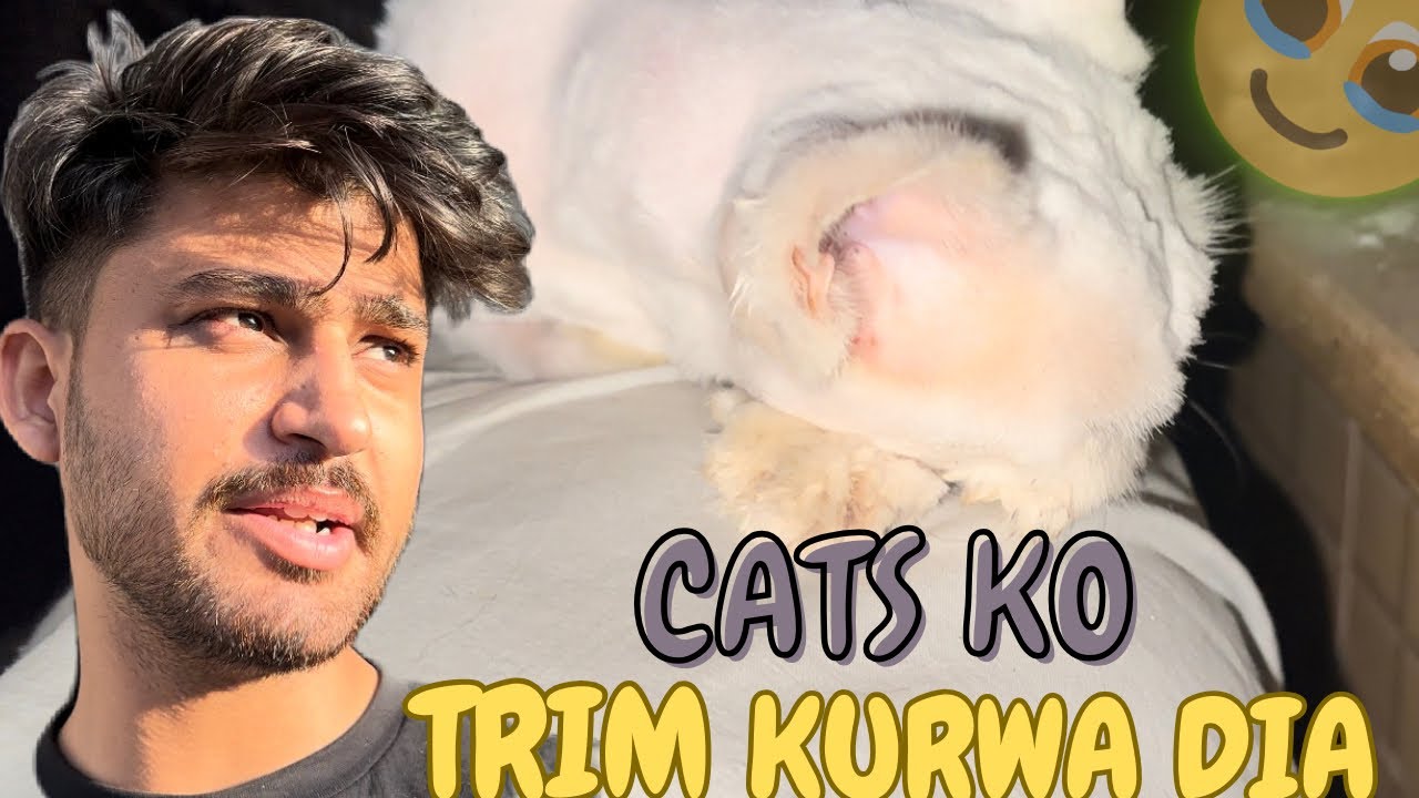 Teno CATS KO TRIM KURWA DIA🤧 | DOST KO FIRST TIME SEA VIEW GHOOMAYA😍