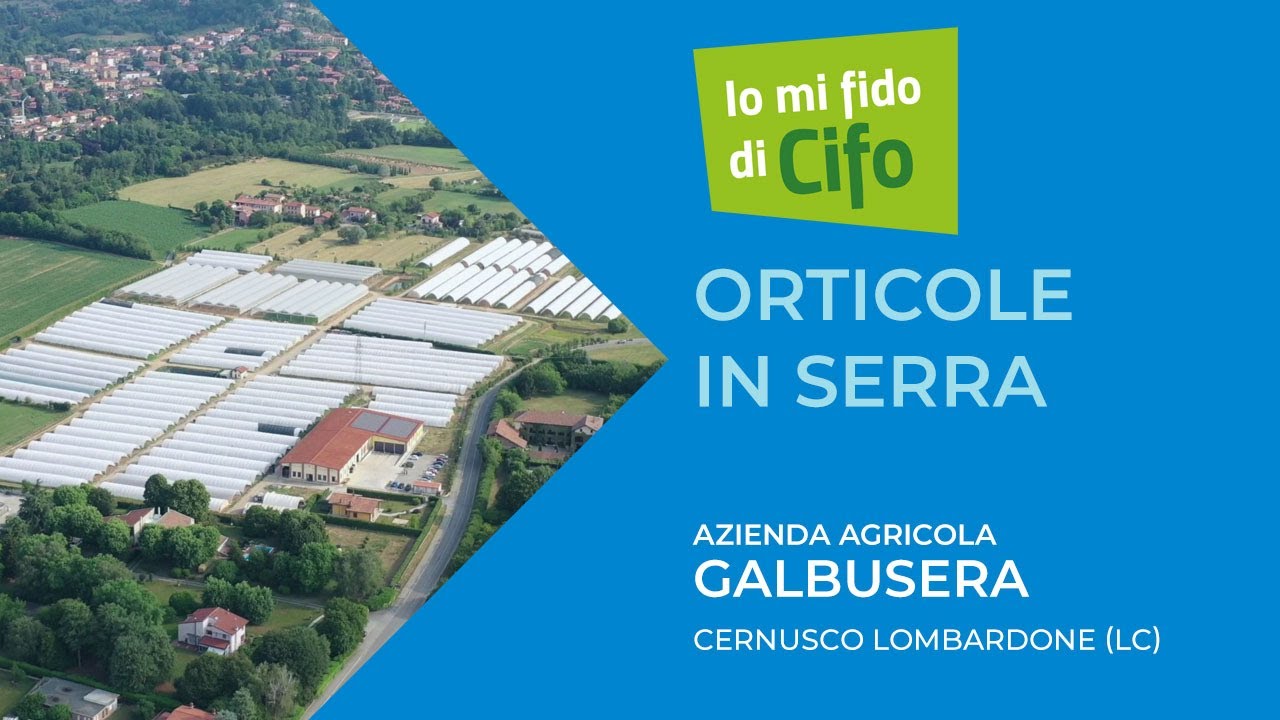 Io mi fido di Cifo | Orticole in serra