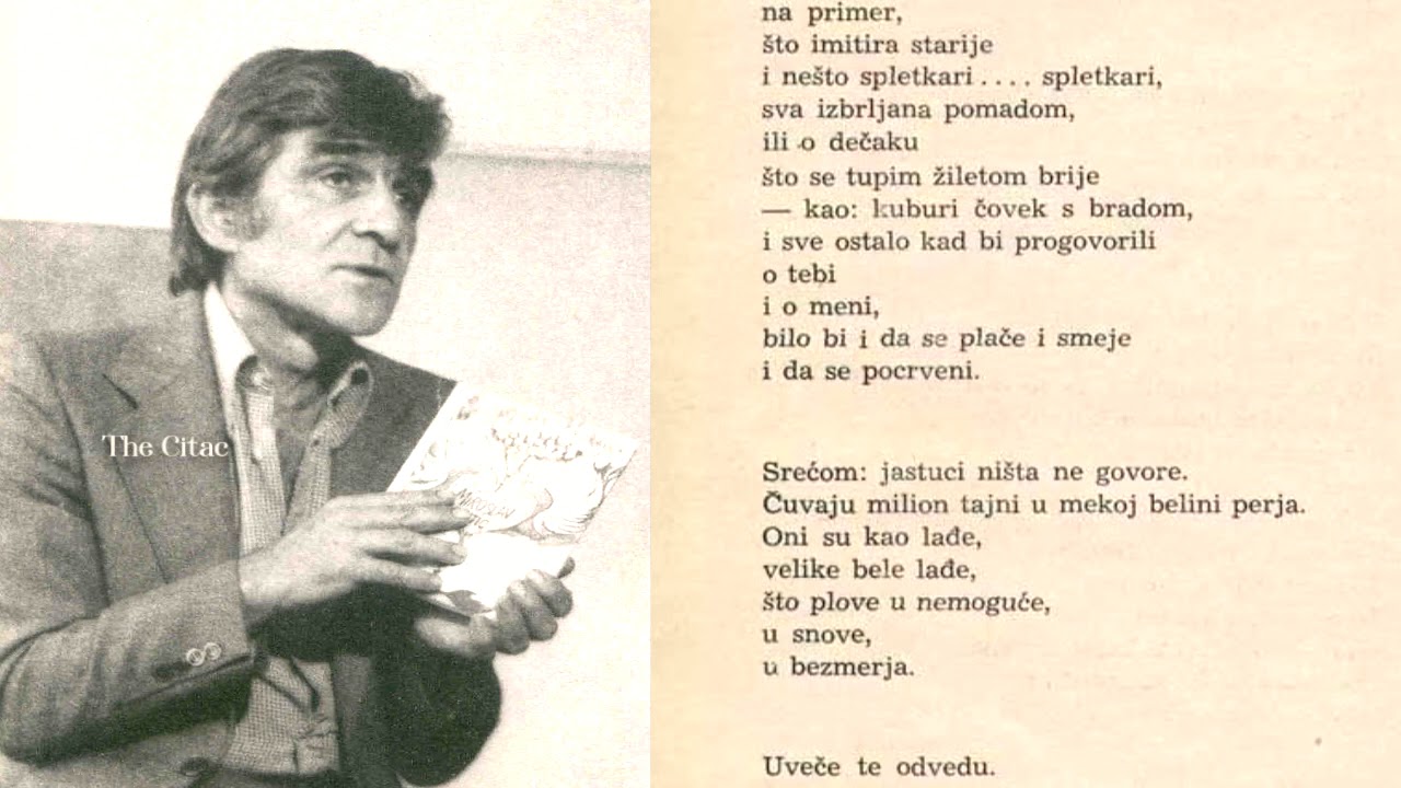 Miroslav Antić - Plavi čuperak