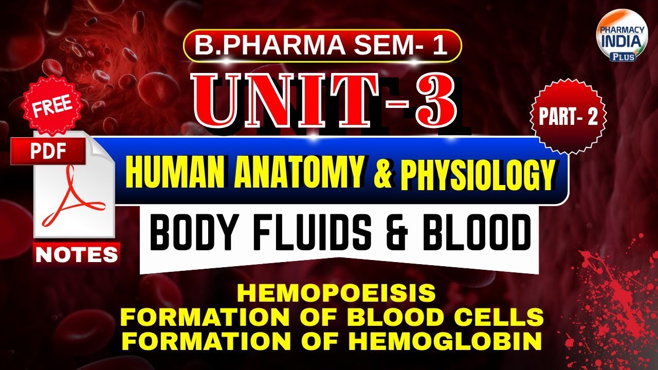 Hemopoisis | Formation Of Blood Cells & Hemoglobin | HAP | Part - 1 | Unit - 3 | Sem - 1 | B.Pharm