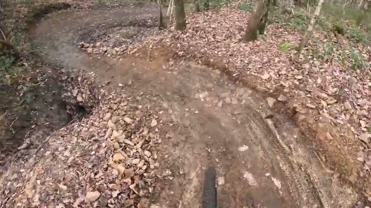 Clyne MTB Trail Swansea - December 2025