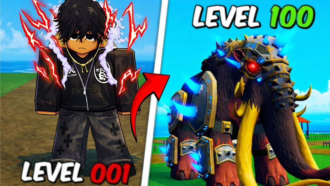 I Went from NOOB to MAX LEVEL in Blox Fruits !