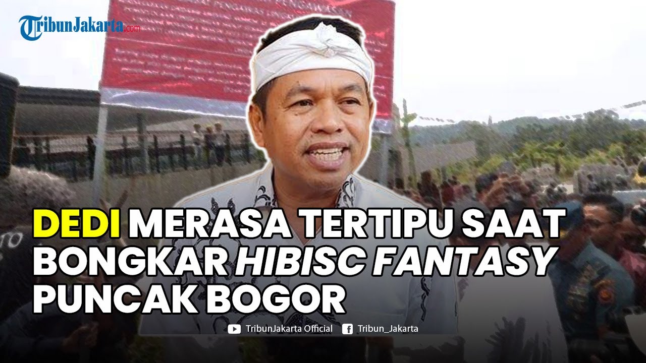 🔴Dedi Mulyadi Merasa Tertipu saat Bongkar Hibisc Fatasy Puncak Bogor, Alat Satpol PP Terlalu Kecil