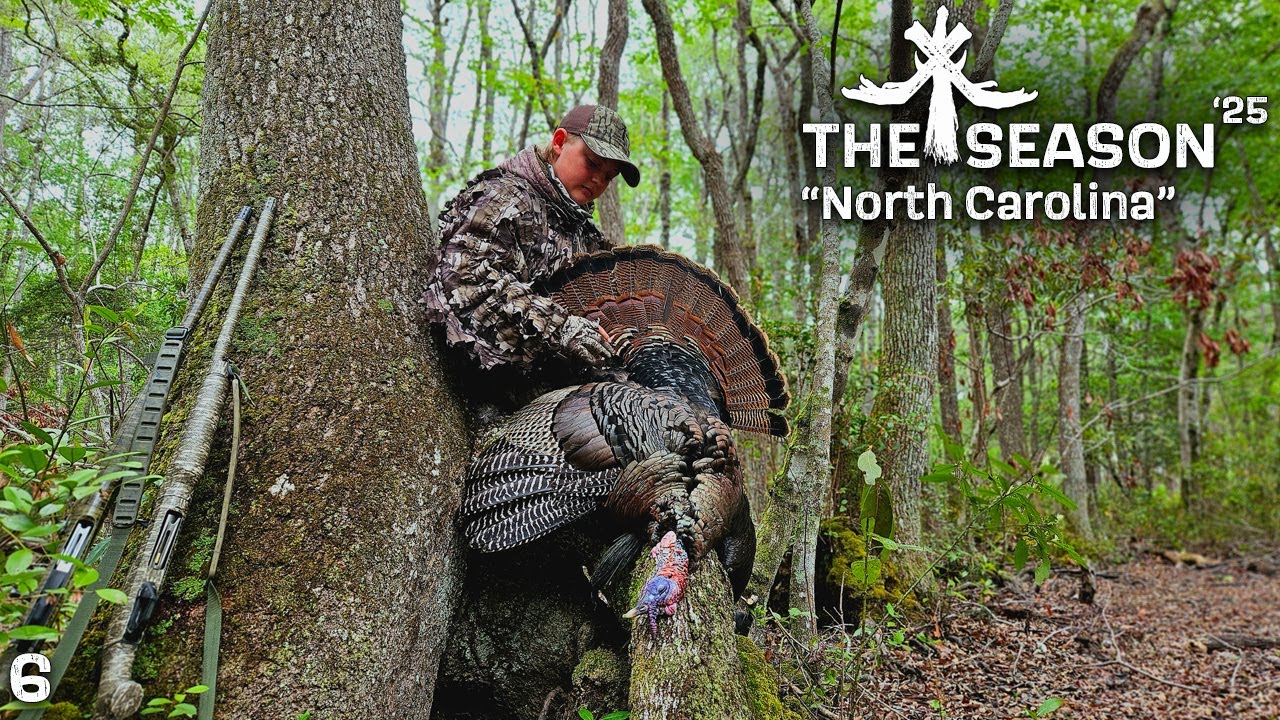 NORTH CAROLINA LONGBEARD FLIES INTO OUR LAPS!