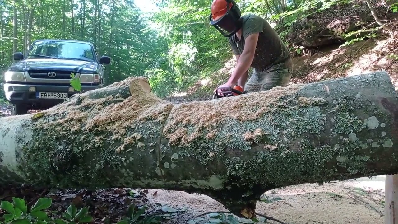 Husquarna 372 xp. Stihl ms 462..