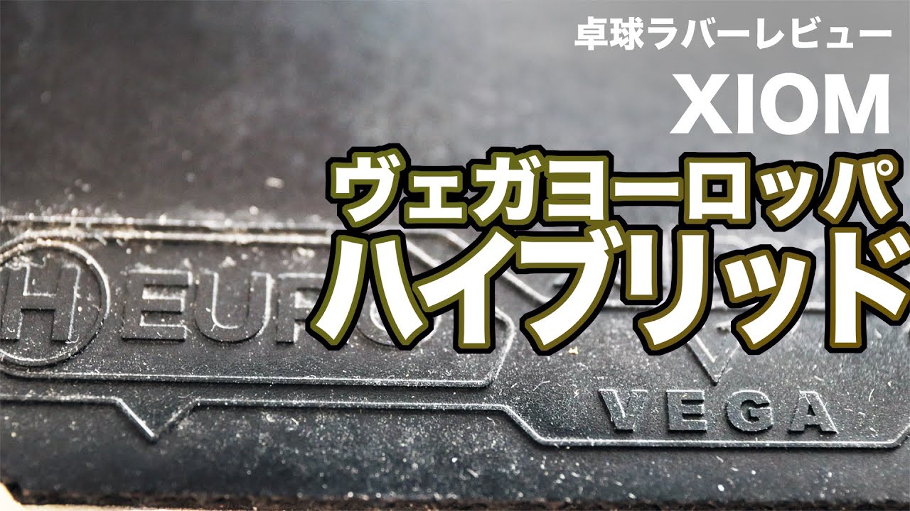 XIOMヴェガヨーロッパハイブリッドを使用してみた感想