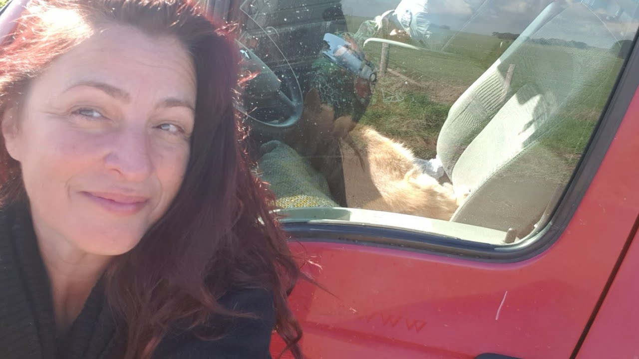 #vanlife-Moments of Stress but Okay.,.🦊🤷🏽&zwj;♀️🤗❤🧡💜