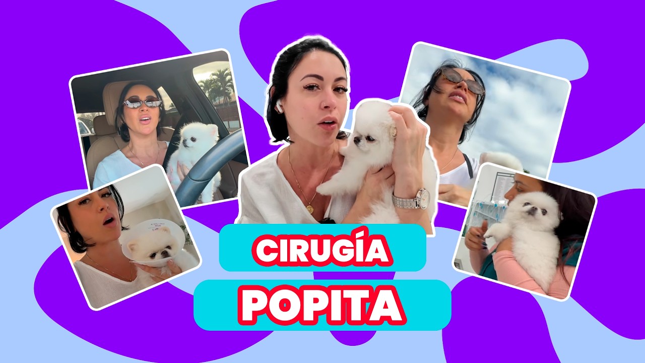 Cirug&iacute;a Popita 🥹🐶🐶🥹