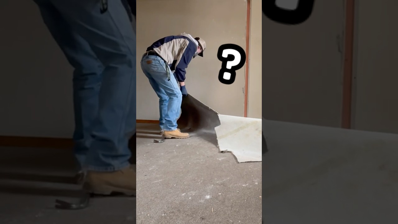 What&rsquo;s Under My 113 Year Old House&rsquo;s Carpet?