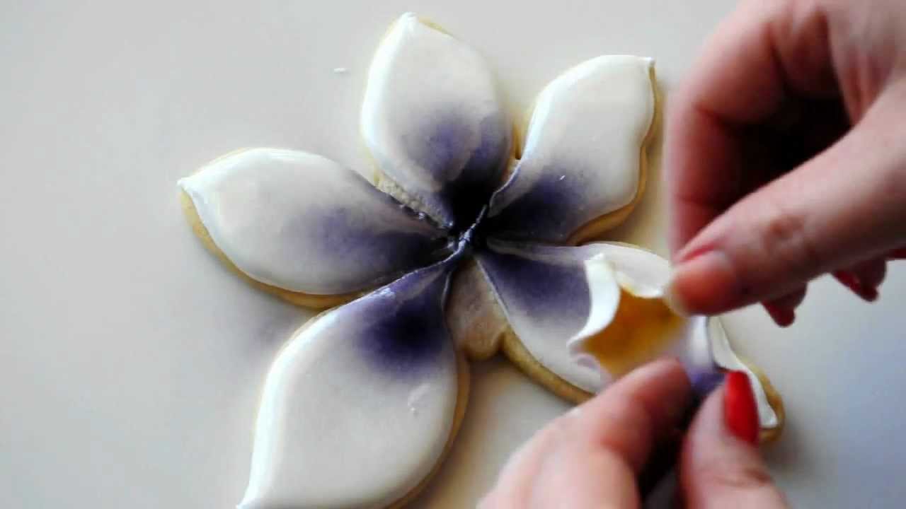 Orchids