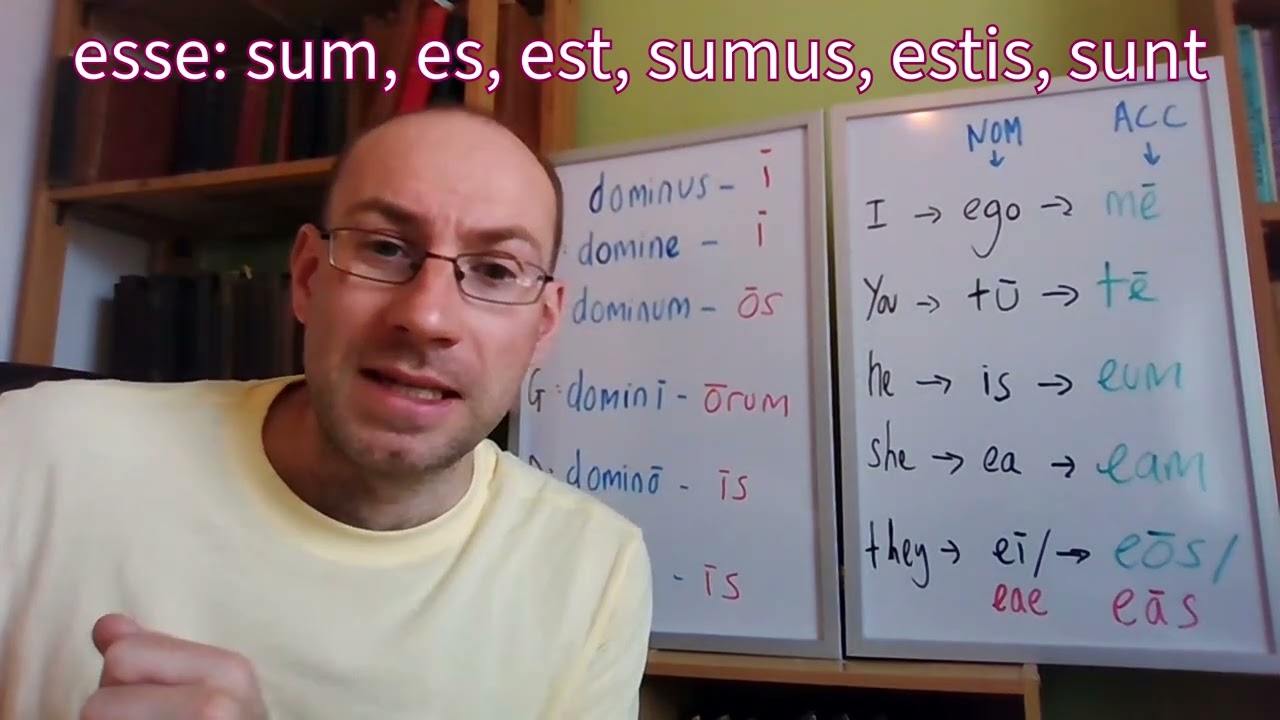 Lesson 2.6: Pronouns in Latin