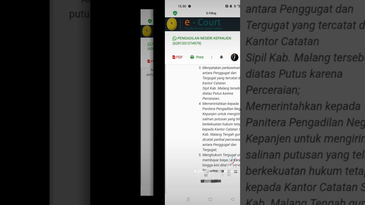Informasi putusan on-line (e-court), perkara 