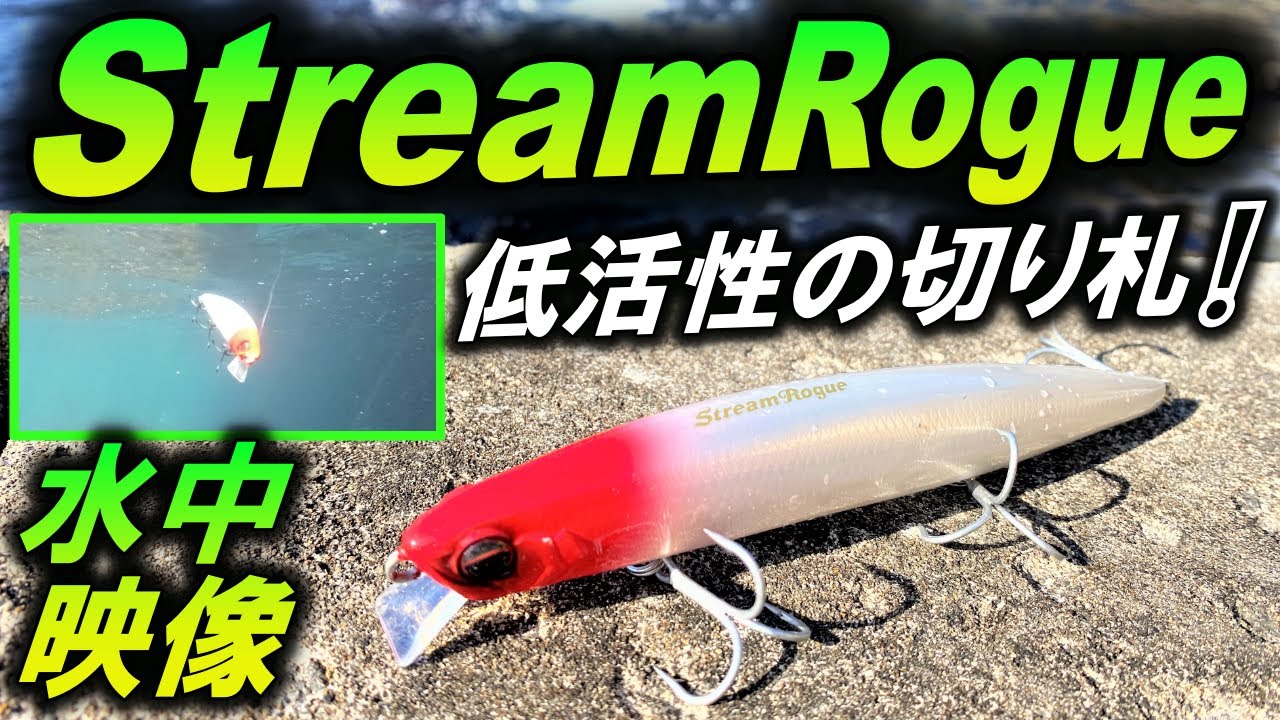 水中映像【ストリームローグ】スレた シーバス を釣る ルアー ！釣れない時こそ使ってほしい。エバーグリーン StreamRogue