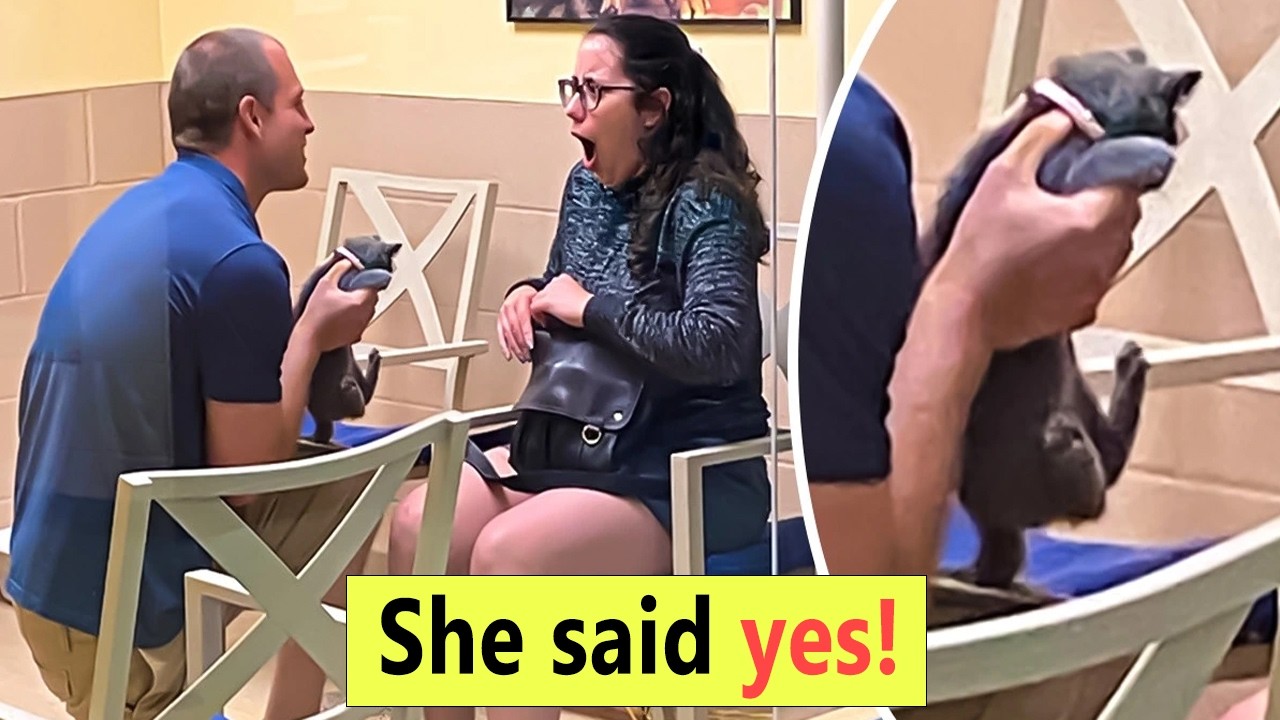 Heartwarming Moments That Restore Faith in Humanity