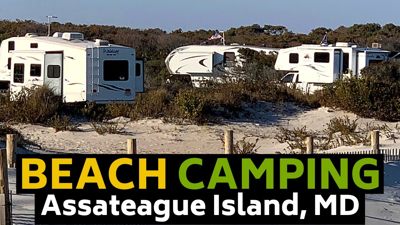 East Coast Beach Camping at Assateague Island Camping - Maryland