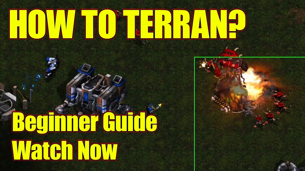 If You're Brand New To Terran, Do This First - Terran Guide Starcraft Broodwar Beginner Guide 2024