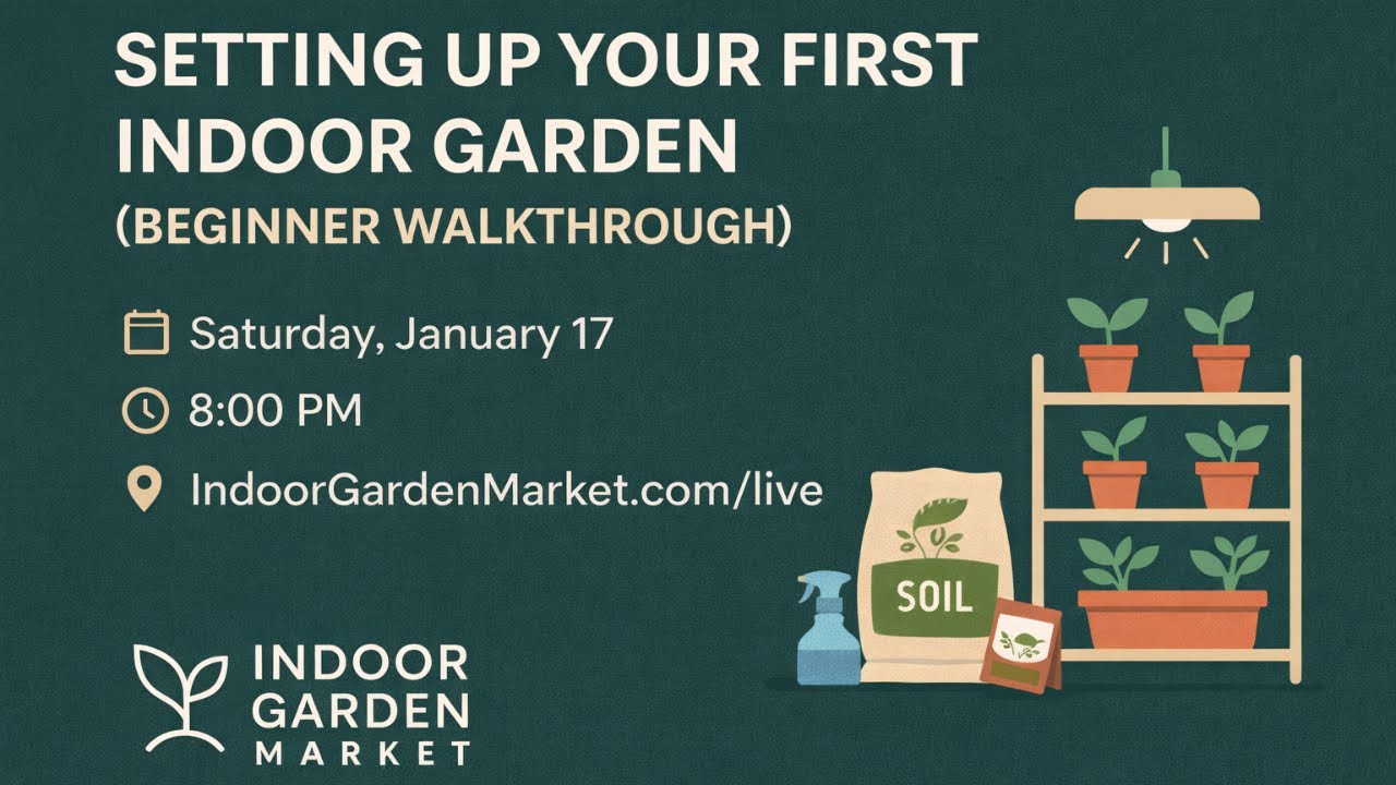 Week 3:   Setting Up Your First Indoor Food Garden (Beginner Walkthrough)