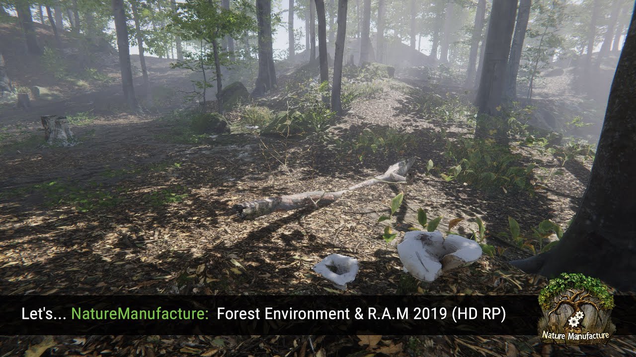 Let's... NatureManufacture Forest Environment & R.A.M 2019 HD RP