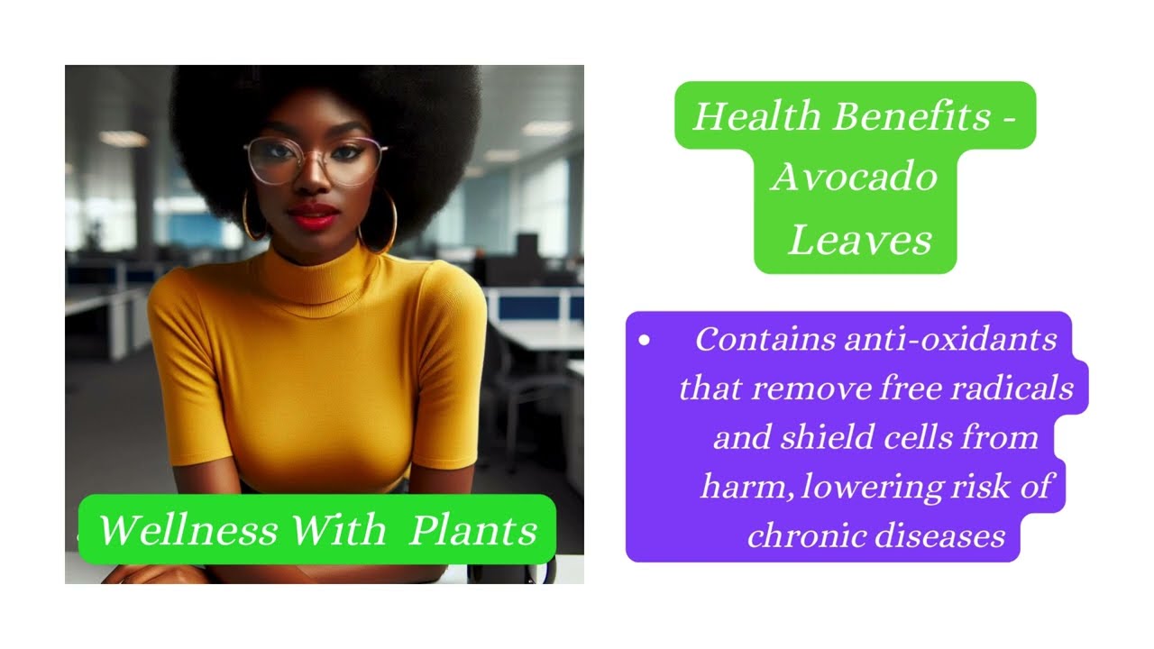 Benefits of Avocado Leaves.