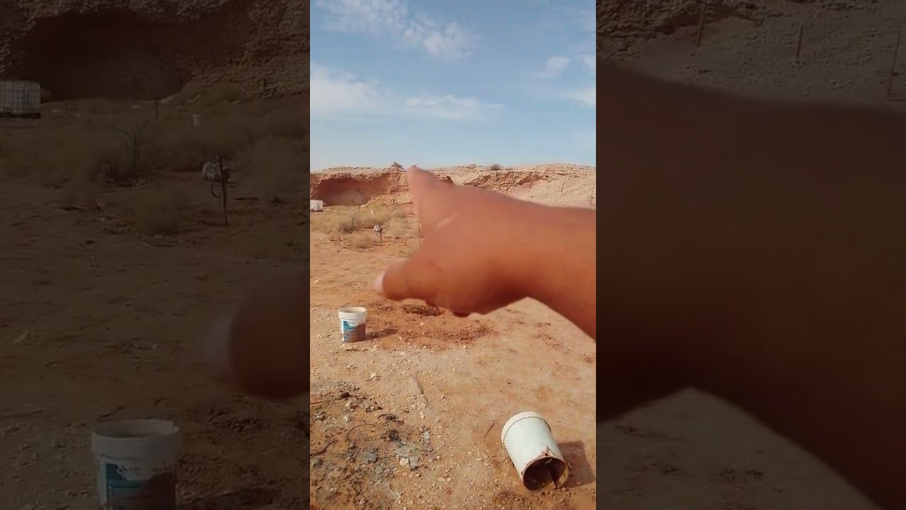 شتل الاشجار البرية في الحوش
