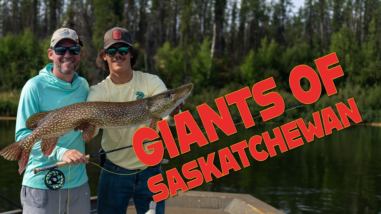 The Giants of Saskatchewan.