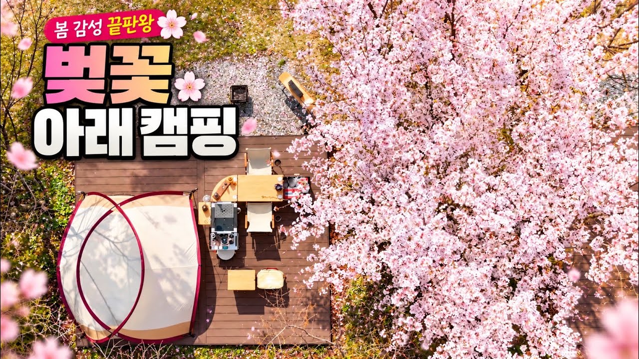 🌸봄캠핑 준비 끝! 벚꽃 아래 장비 언박싱 | 설레는 장비 무드 미쳤다 | 스노우피크 한정판 득템