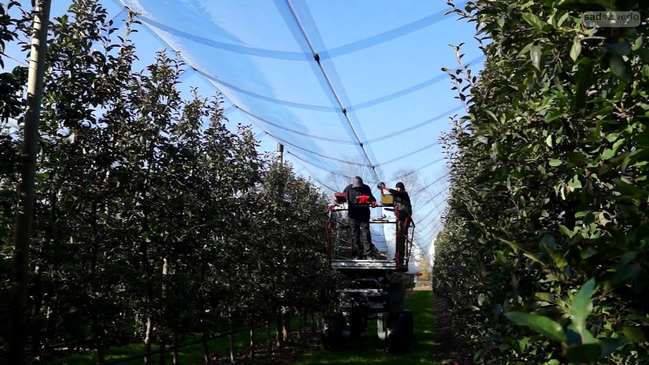 Zwijanie sieci przeciwgradowych i karczowanie 2014 (Rolling hail nets,Hagelschutz,Obstbau)