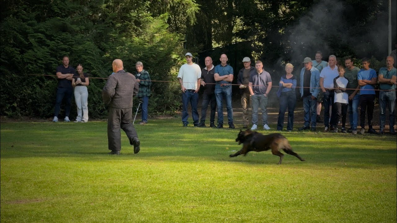 KNPV Dekreuenwedstrijd 2024 - Parel der Veluwe Apeldoorn