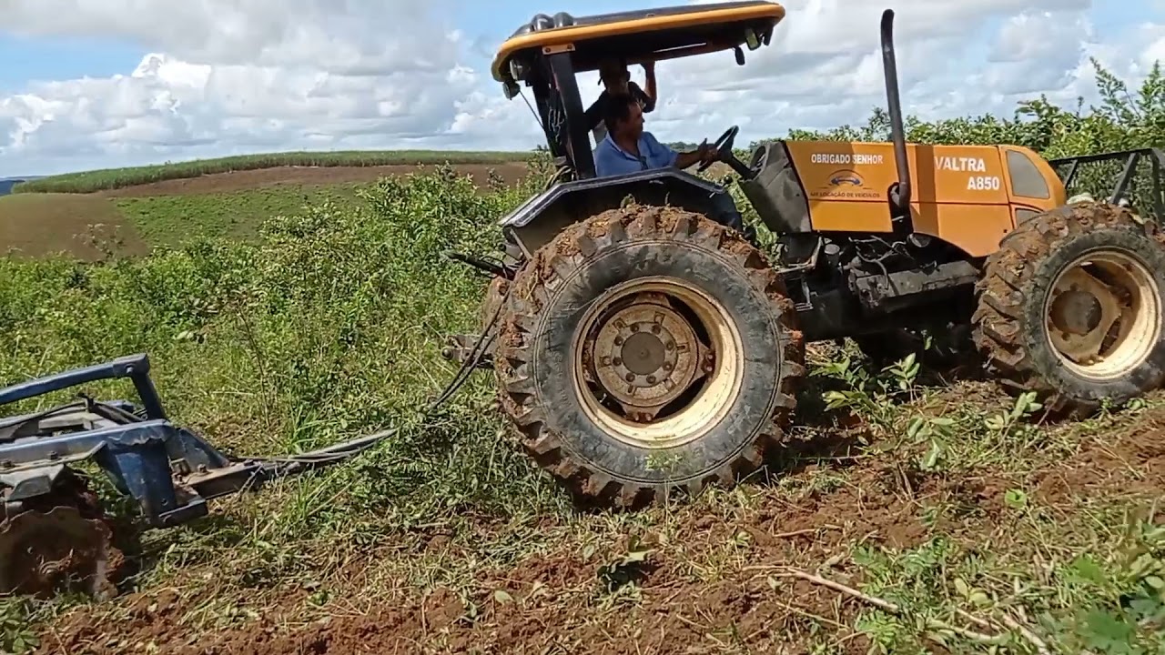 gradeando a terra para mais um plantio de brachiaria decumbes