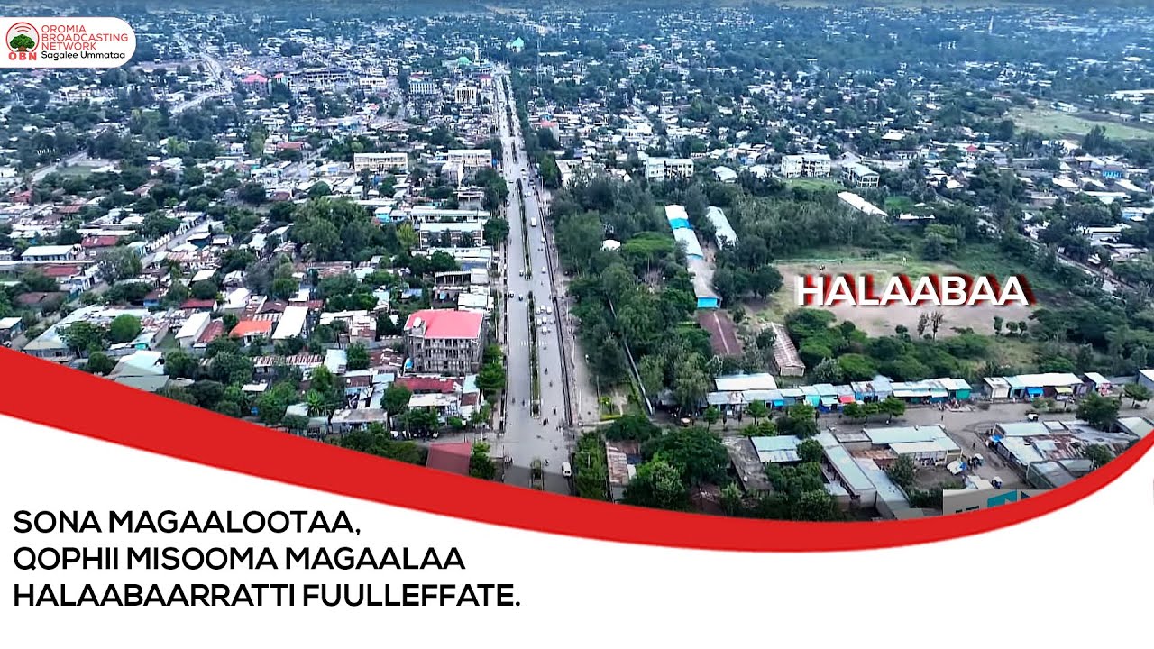 Sona Magaalootaa, qophii Misooma magaalaa Halaabaarratti fuulleffate.