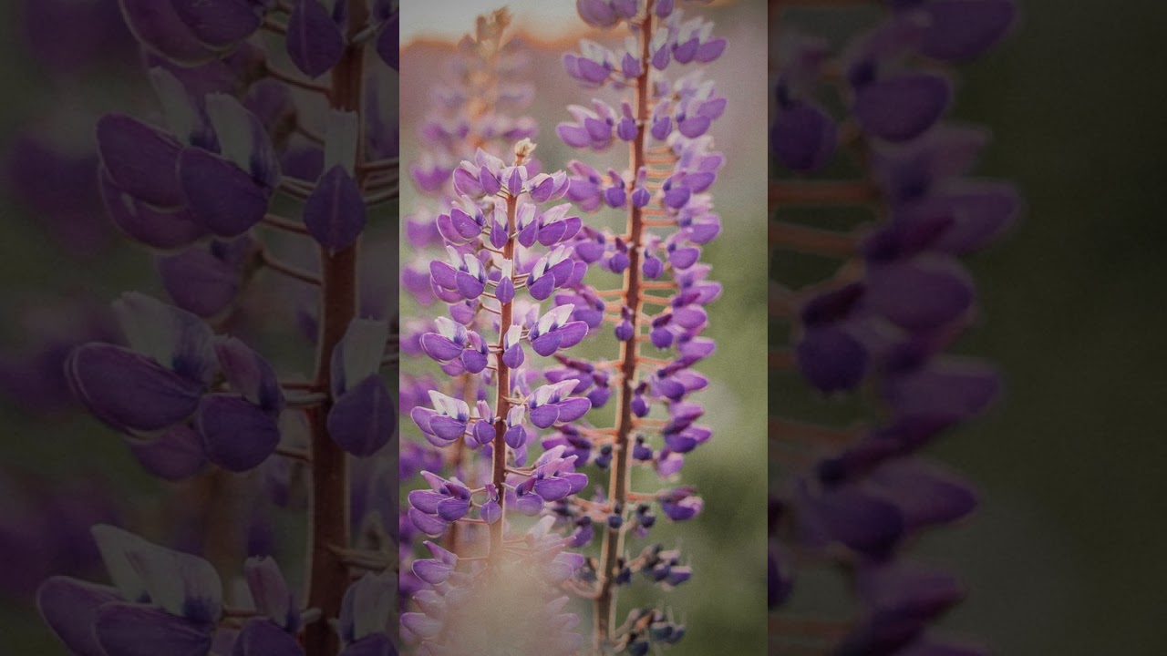 Alles geh&ouml;rt GOTT 🙏 &ndash; T&auml;gliche Andacht von Joyce Meyer | 30.03.