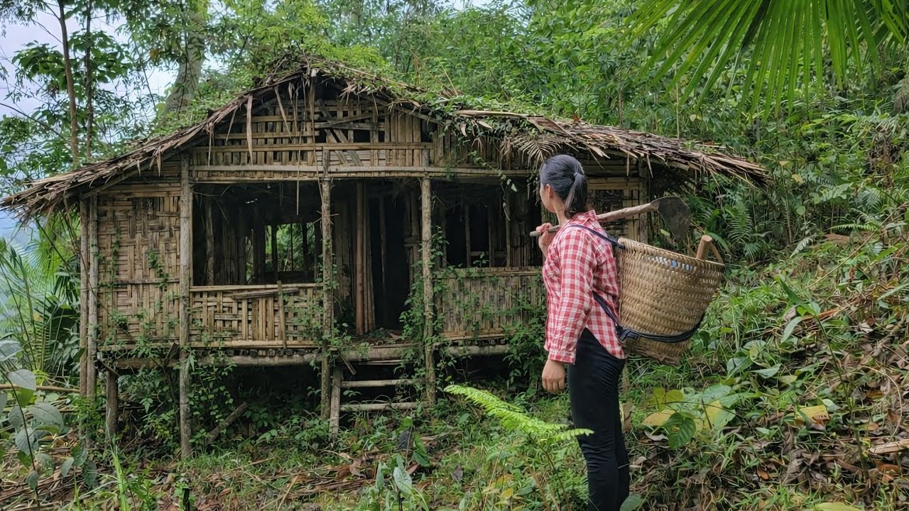 Full video: Renovating and restoring an abandoned bamboo house for use as a shelter in the forest.