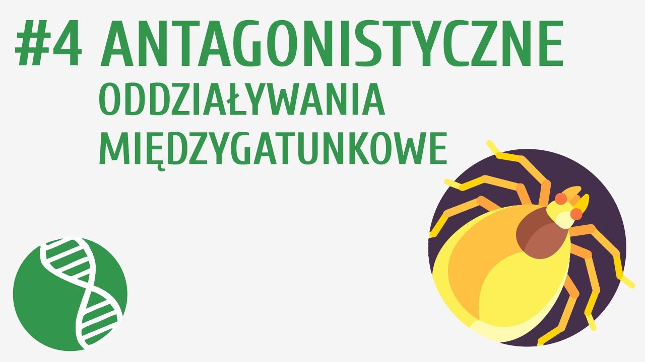 Antagonistyczne oddziaływania międzygatunkowe #4 [ Ekologia ]