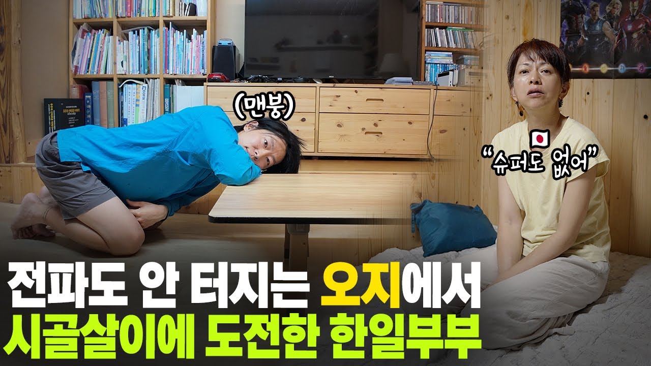 집주인 얼굴도 모르는 남의 집 시골에서 고양이를 돌보게 되었습니다｜인생 첫 집사 체험｜문경