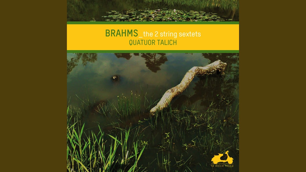 String Sextet No. 2 in G Major, Op. 36: I. Allegro non troppo