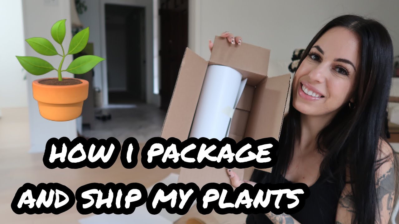 How I Package House Plants to Ship through USPS!