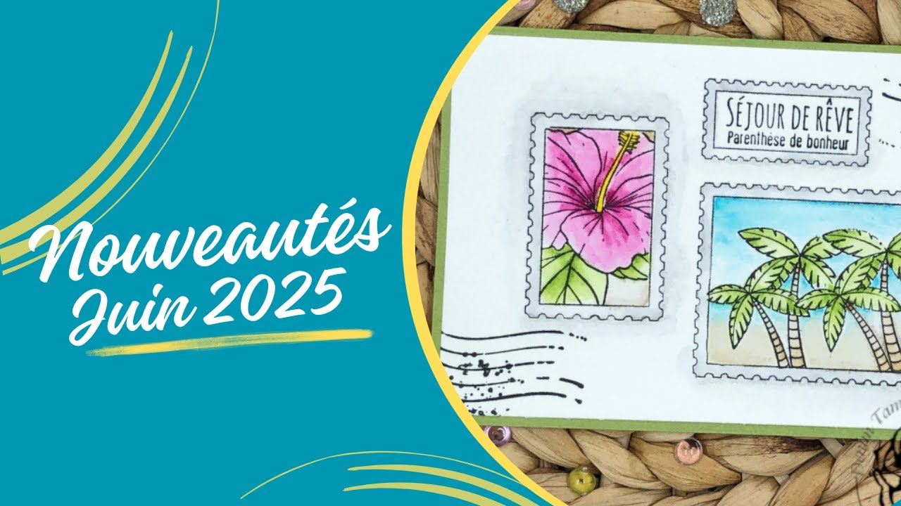 Nouveautés Juin 2025 - DENIM TAMPONS