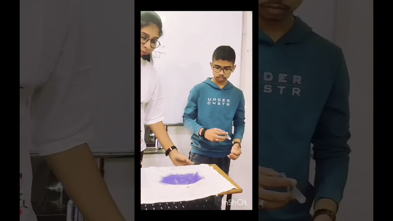 Bleaching Action | Chemistry