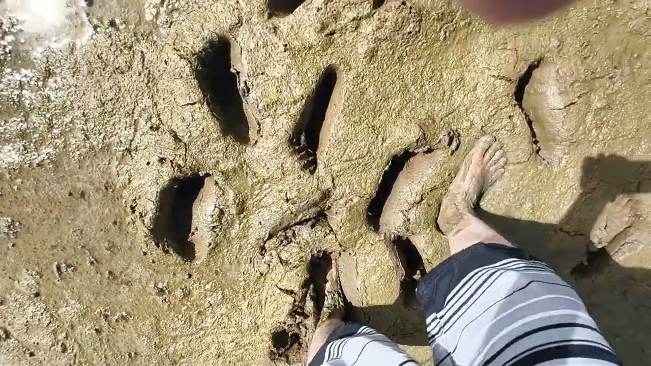 Barefoot in Mud (2025-12-16 11-31-58)
