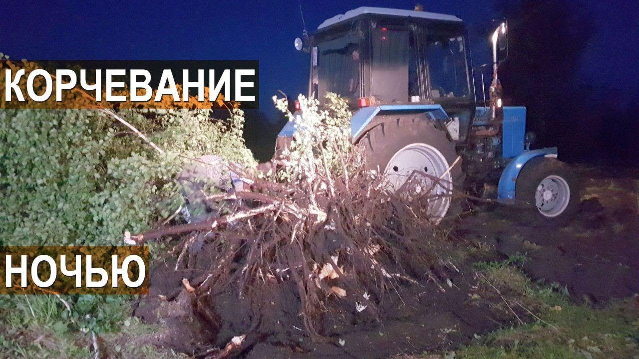 Ввод залежных земель в севооборот. Корчевание деревьев. Ночная смена. КФХ Урожайное.