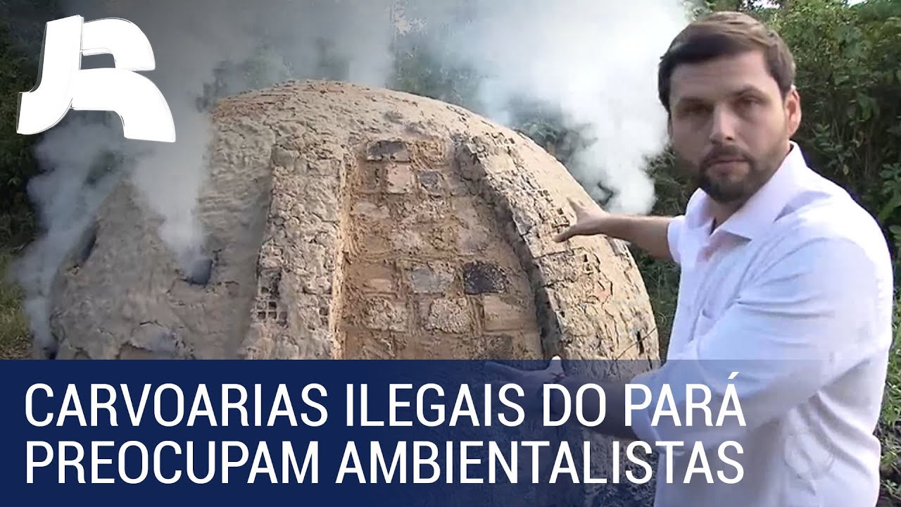 Carvoarias ilegais preocupam ambientalistas no Pará