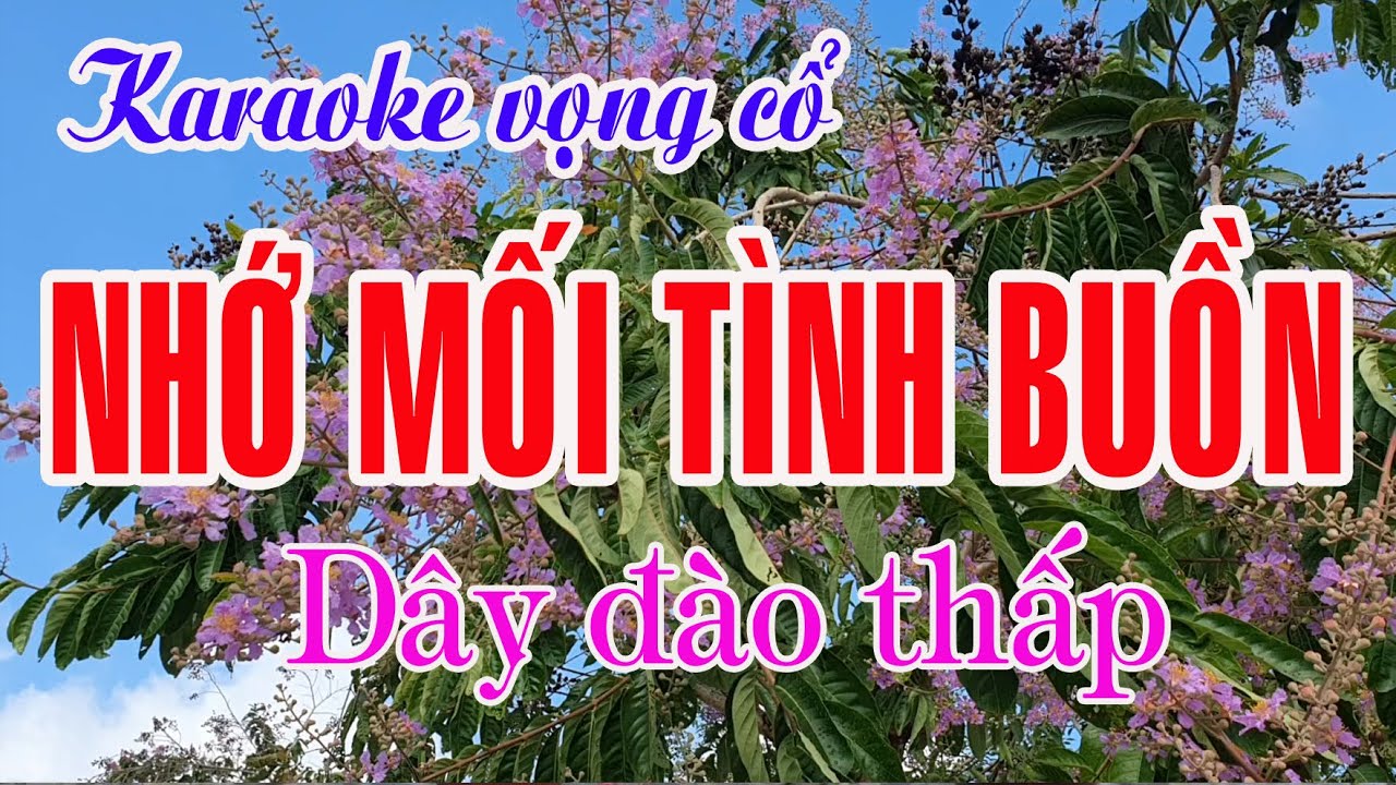 Karaoke Tân cổ: NHỚ MỐI TÌNH BUỒN - Dây Đào thấp - Tác giả: Nguyễn Hữu Nghĩa