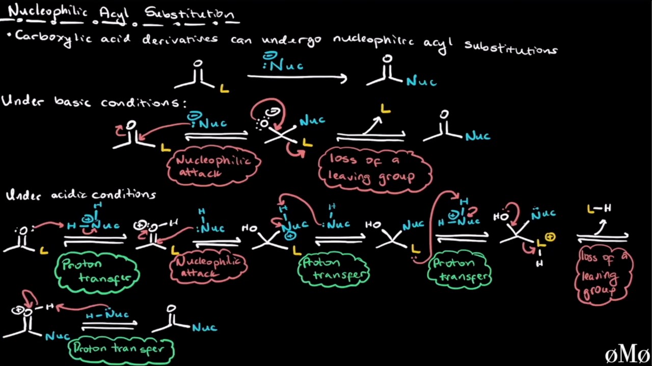 Carboxylic Acid Derivatives | Reactivity and Nucleophilic Acyl Substitution | Organic Chemistry