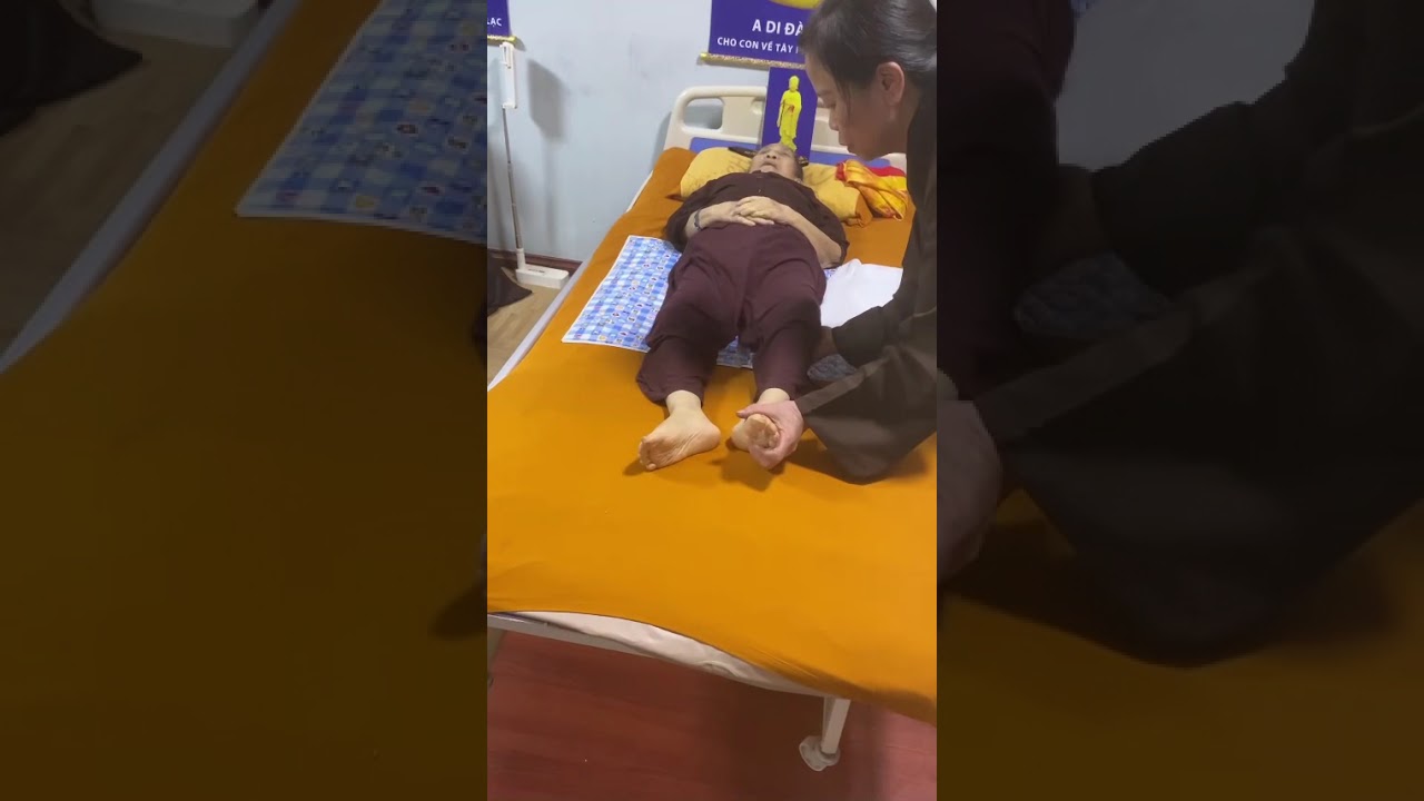 Cư Sĩ Diệu Thanh Kiểm Tra Thoại Tướng Của HL Cụ Trương Thị Đo&agrave;n PD Diệu Bảo.