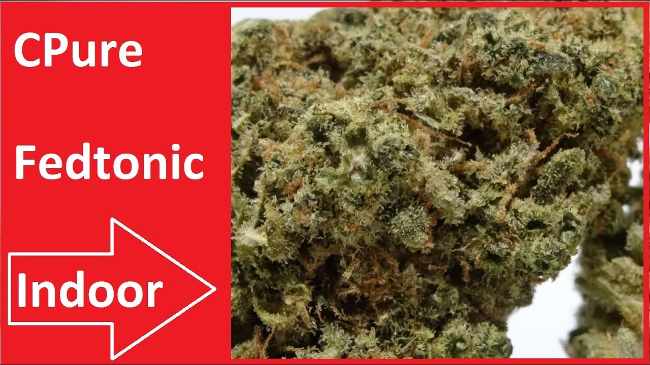CPure Fedtonic Indoor CBD Hanf Test #CBDTest